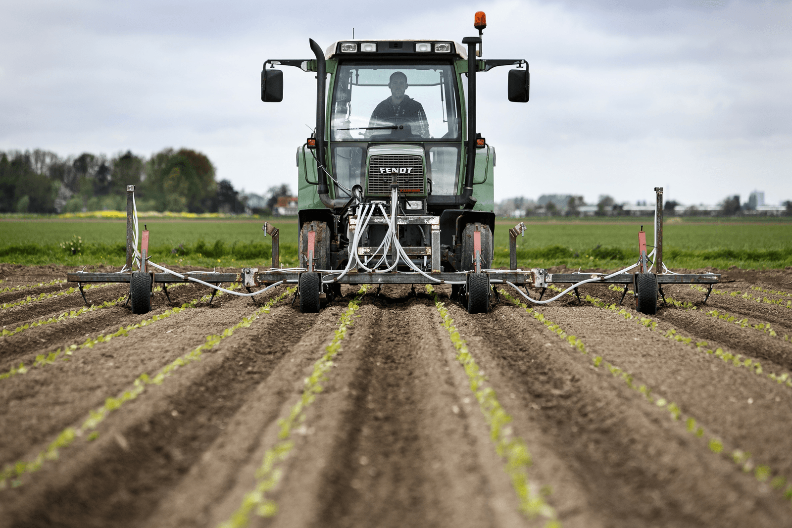 Rosier: boeren stellen aankoop kunstmest uit - Foto: Roel Dijkstra