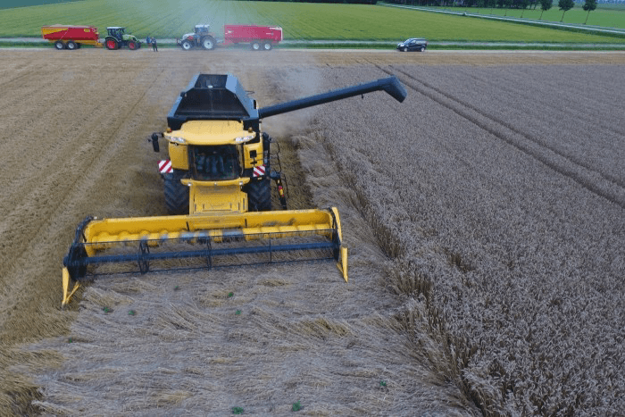 Oogst wintertarwe gaat weer verder