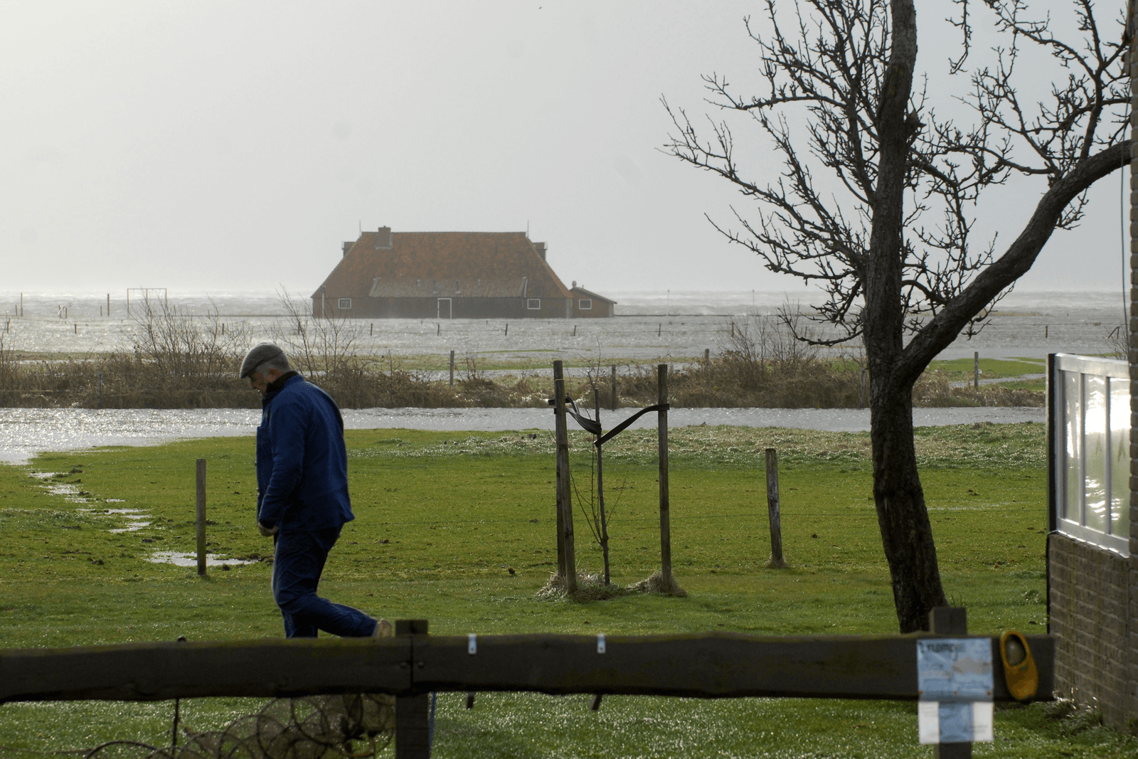 Boeren overwegen juridische stappen tegen verzekeraars na noodweer - Foto: ANP