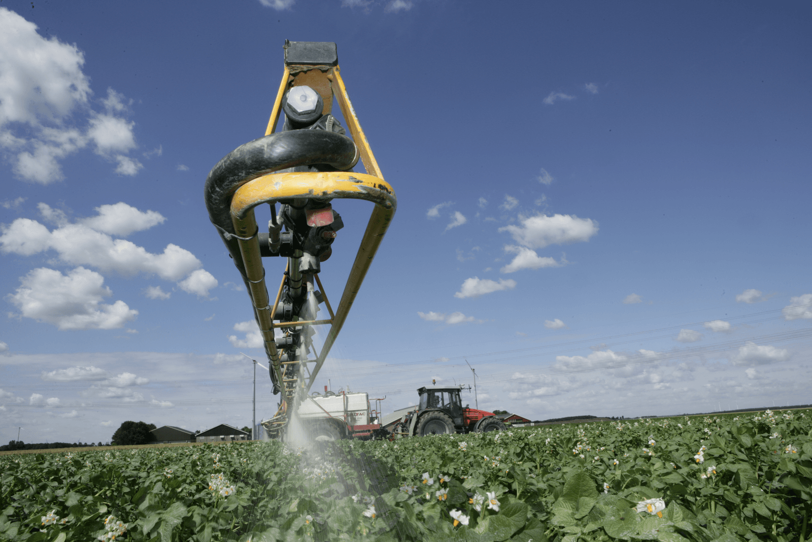Smet op imago biologische teelt dankzij koper - Foto: Henk Riswick