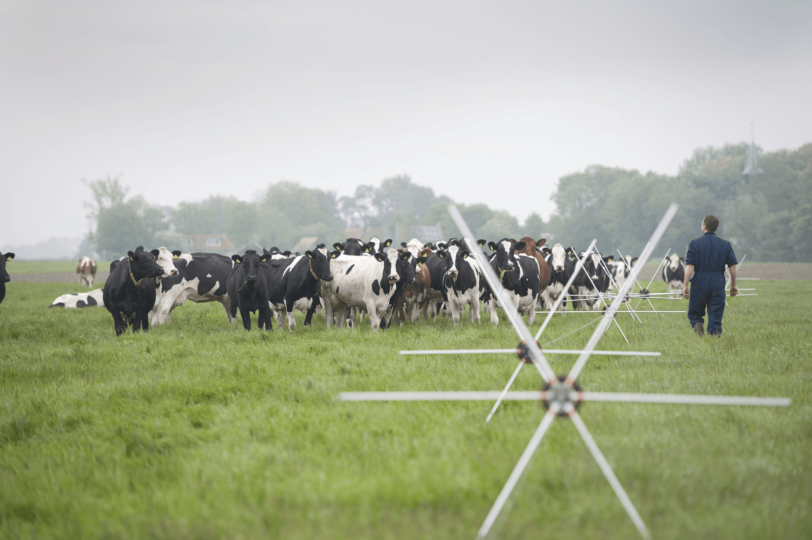 Begin nu voor goed herfstgras - Foto: Mark Pasveer