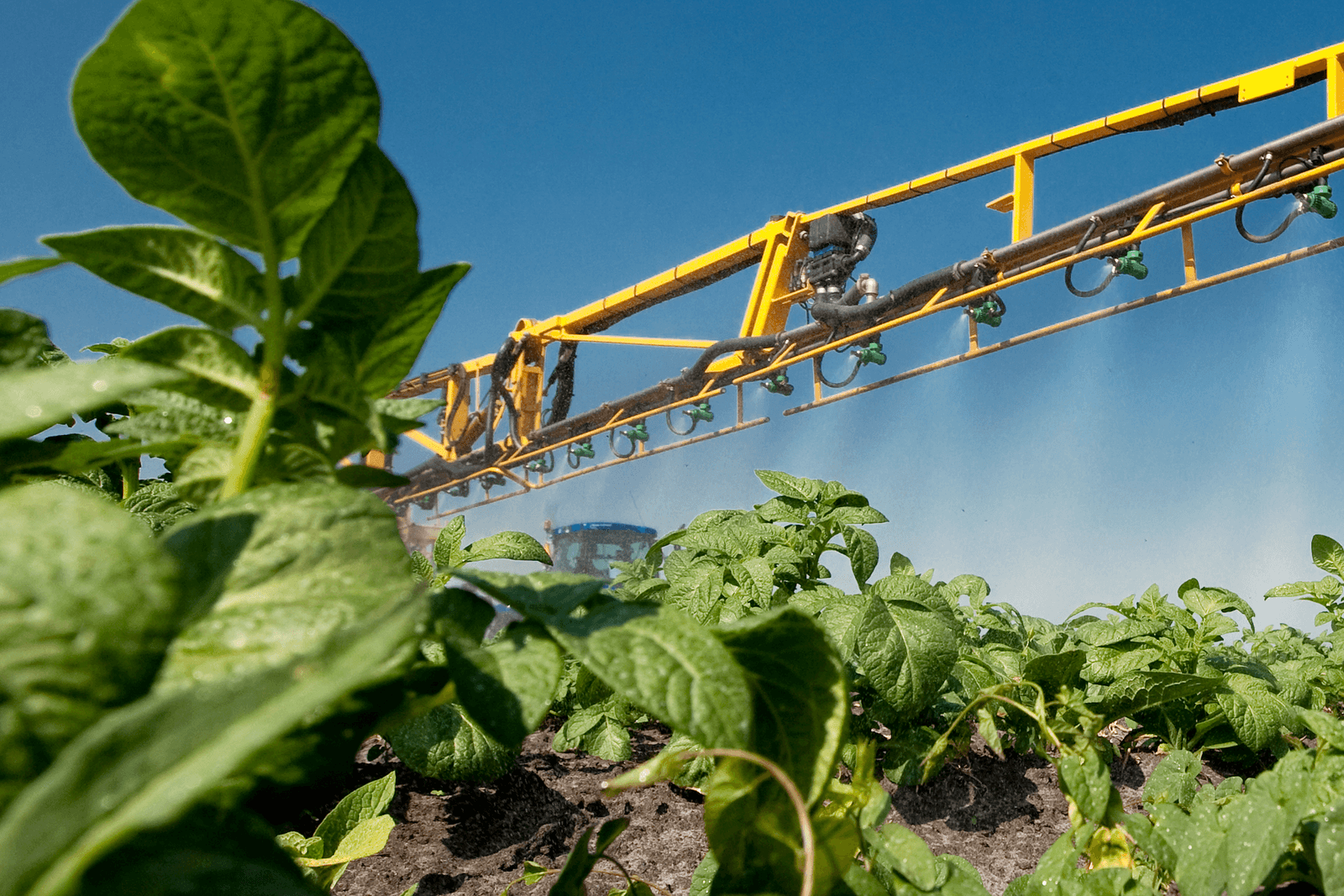 Illegale inzet koper in biologische aardappel - Foto: Ronald Hissink