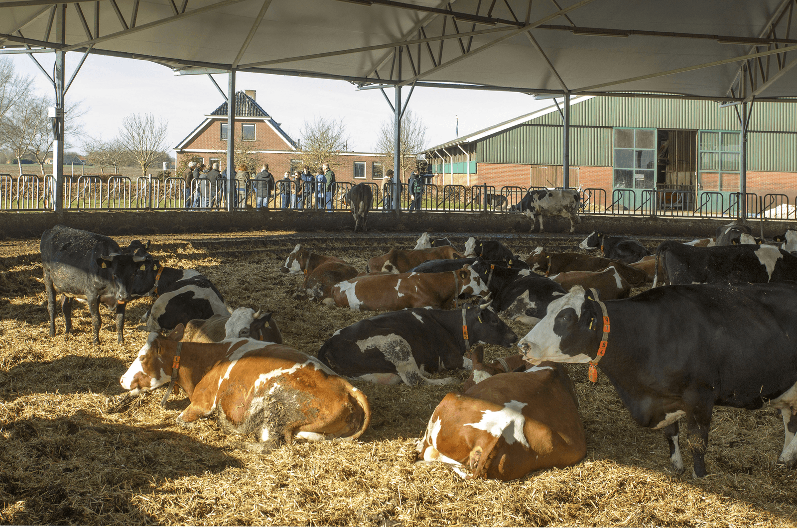 Aantal biologische bedrijven licht gegroeid - Foto: Koos van der Spek