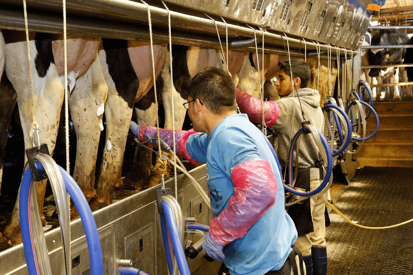 Margebescherming VS loont, maar is niet royaal - Foto: Henk Riswick