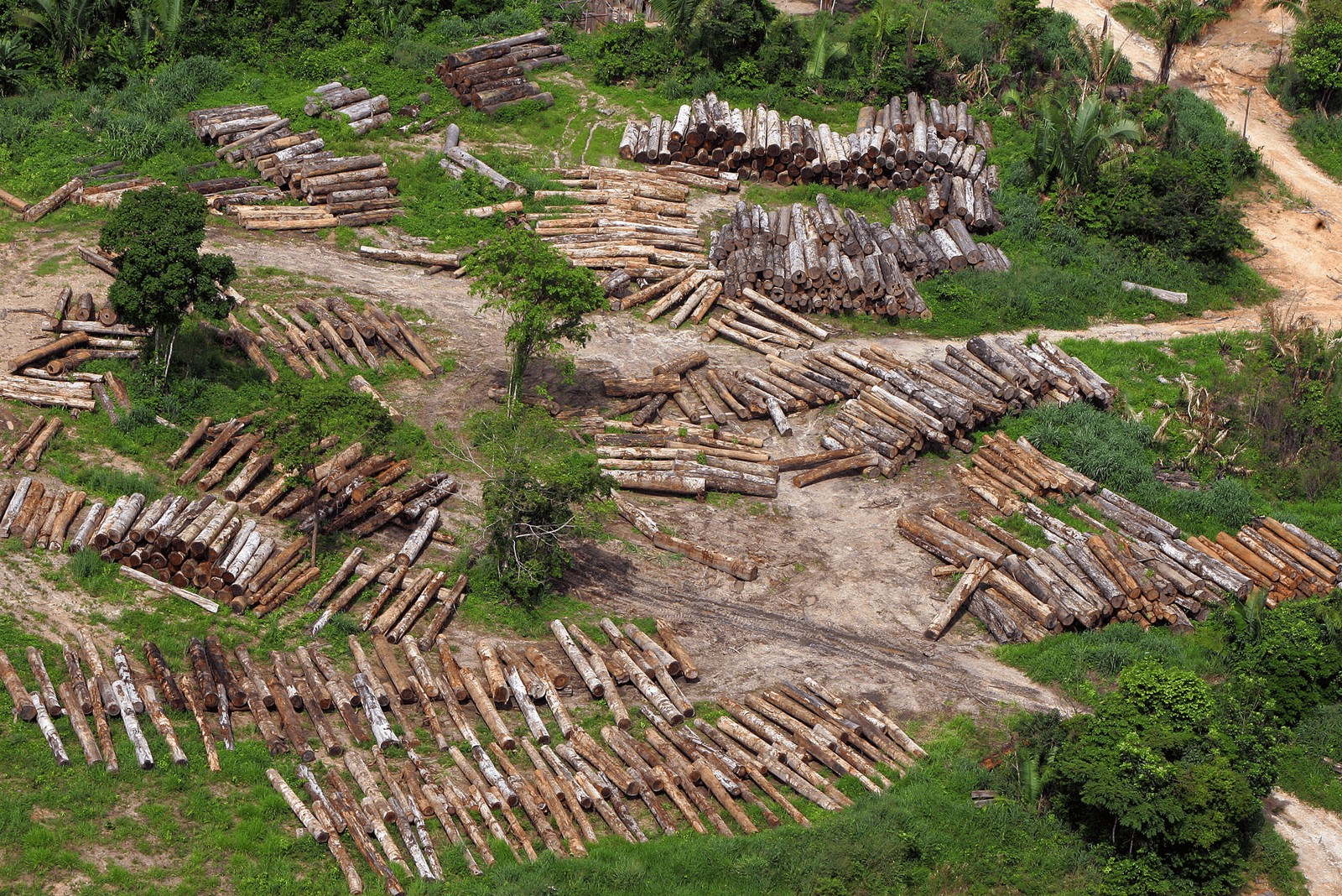 Overexploitatie en landbouw groter probleem dan klimaat - Foto: AFP