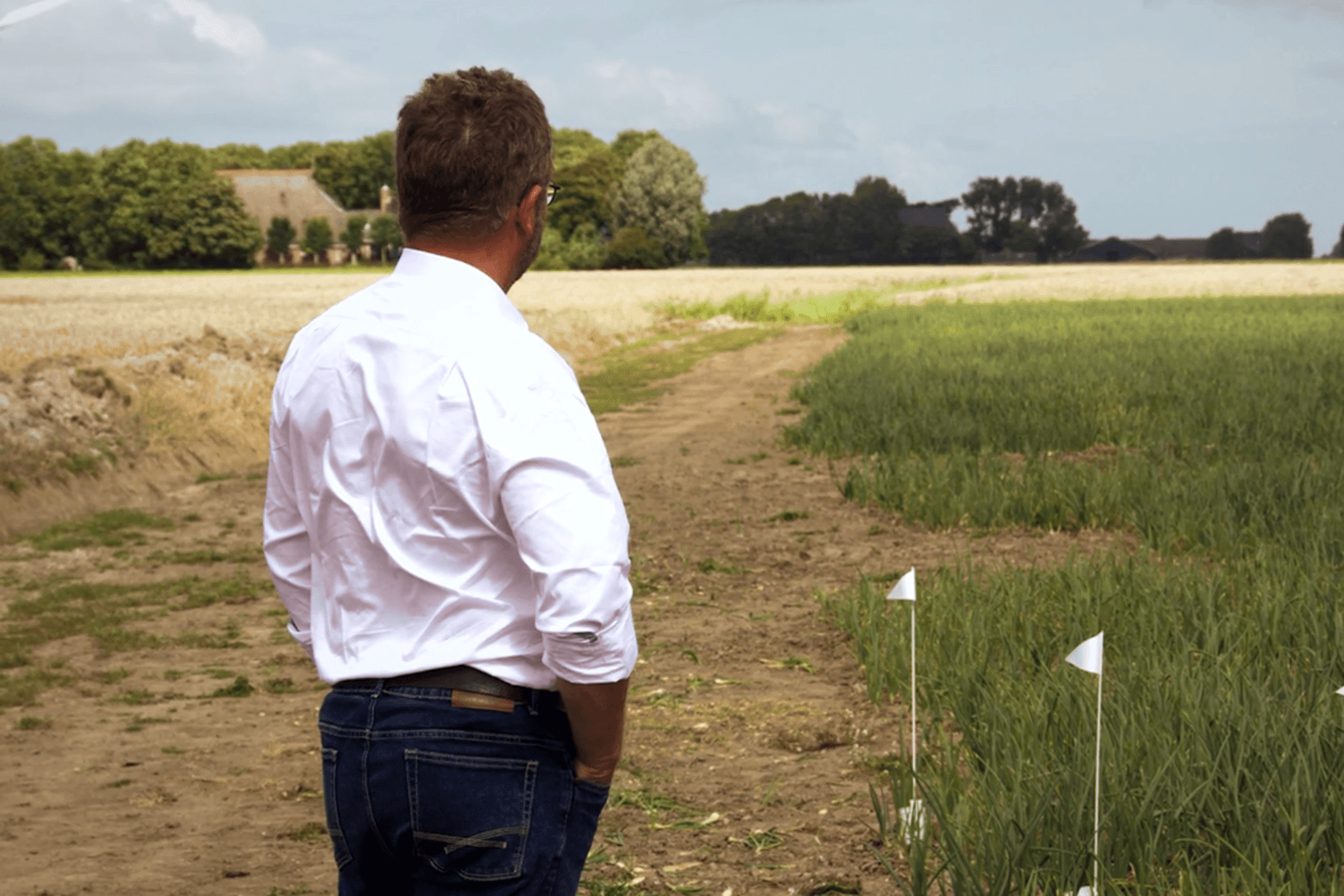 Uienrassen kijken in Noord-Friesland - Foto: Theo Galama