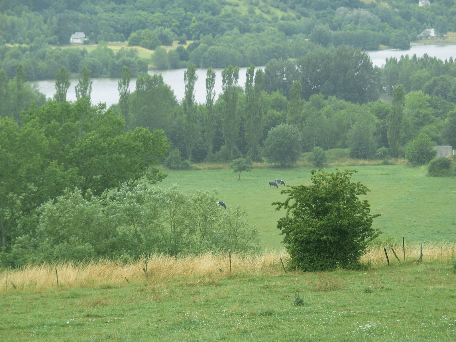 Ook Franse boer worstelt met Nitraatrichtlijn - Foto: Kristel Kort