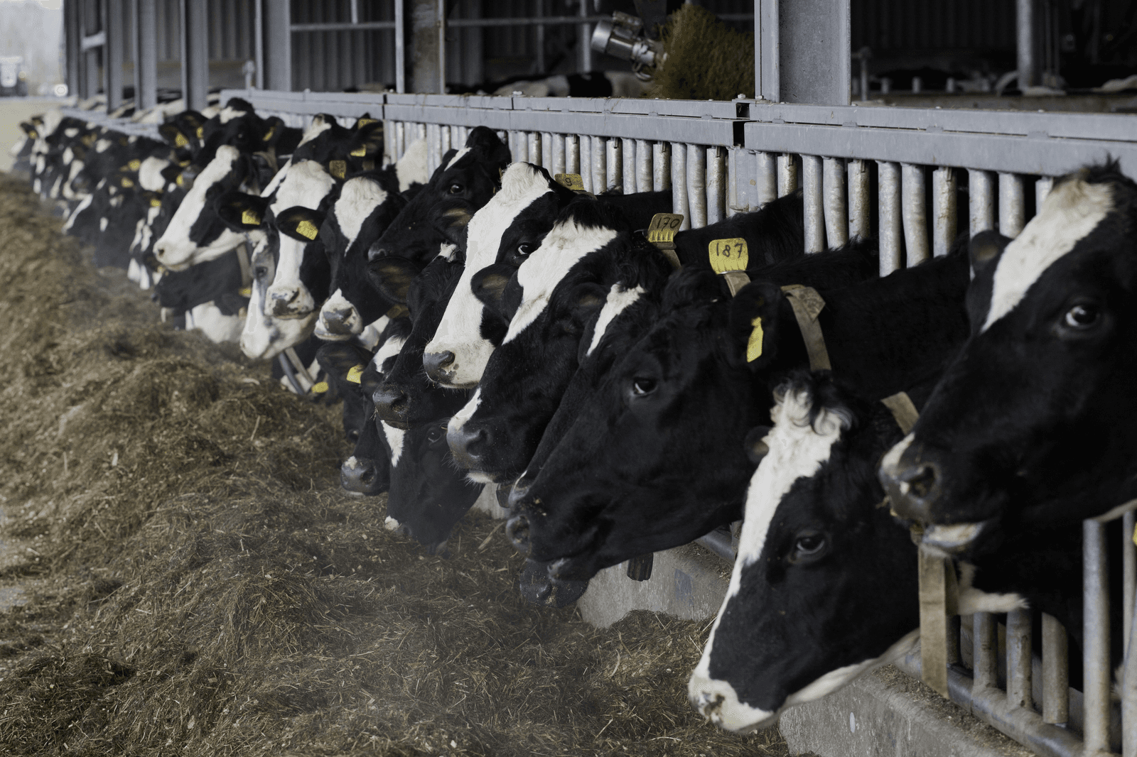 Het is tijd voor een sectorbreed toekomstplan - Foto: Jan Willem van Vliet