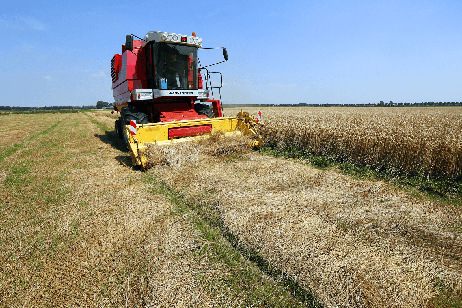 Graszaadoogst in Noorden stokt door regen - Foto: Henk Riswick