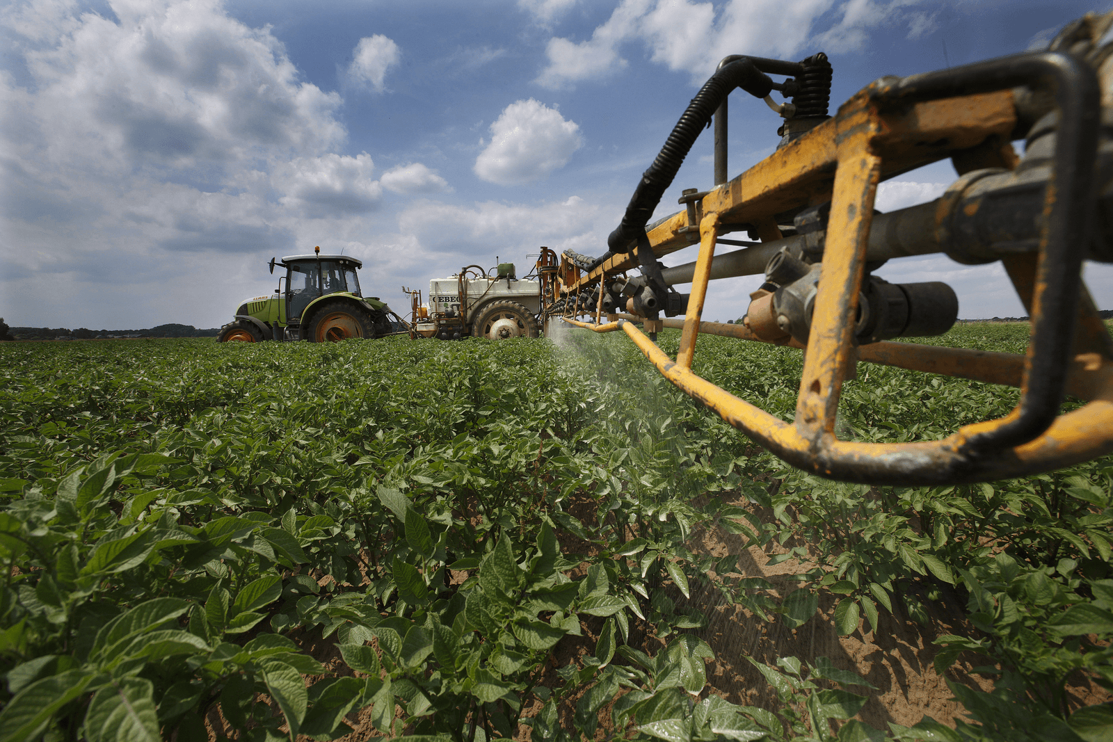 Kopergebruik toont commerciële omslag bio-sector - Foto: Hans Prinsen
