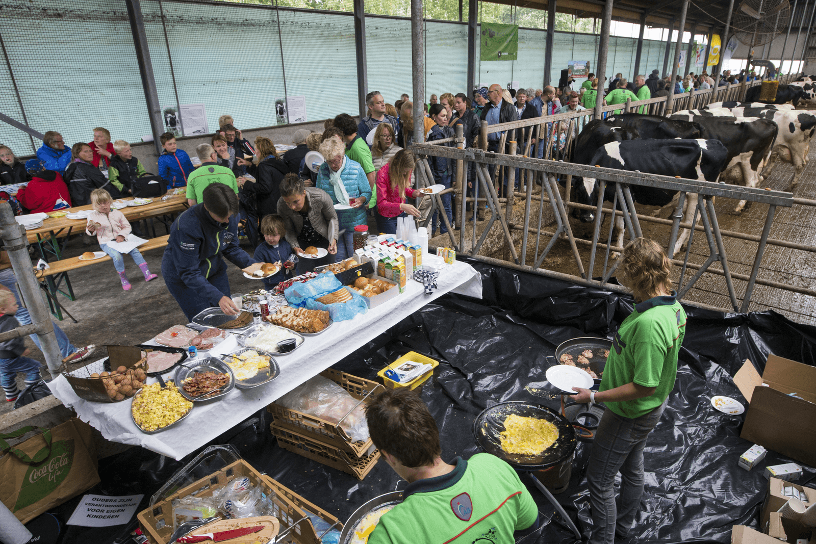Massale lunch in Friese stal - Foto: Anne van der Woude