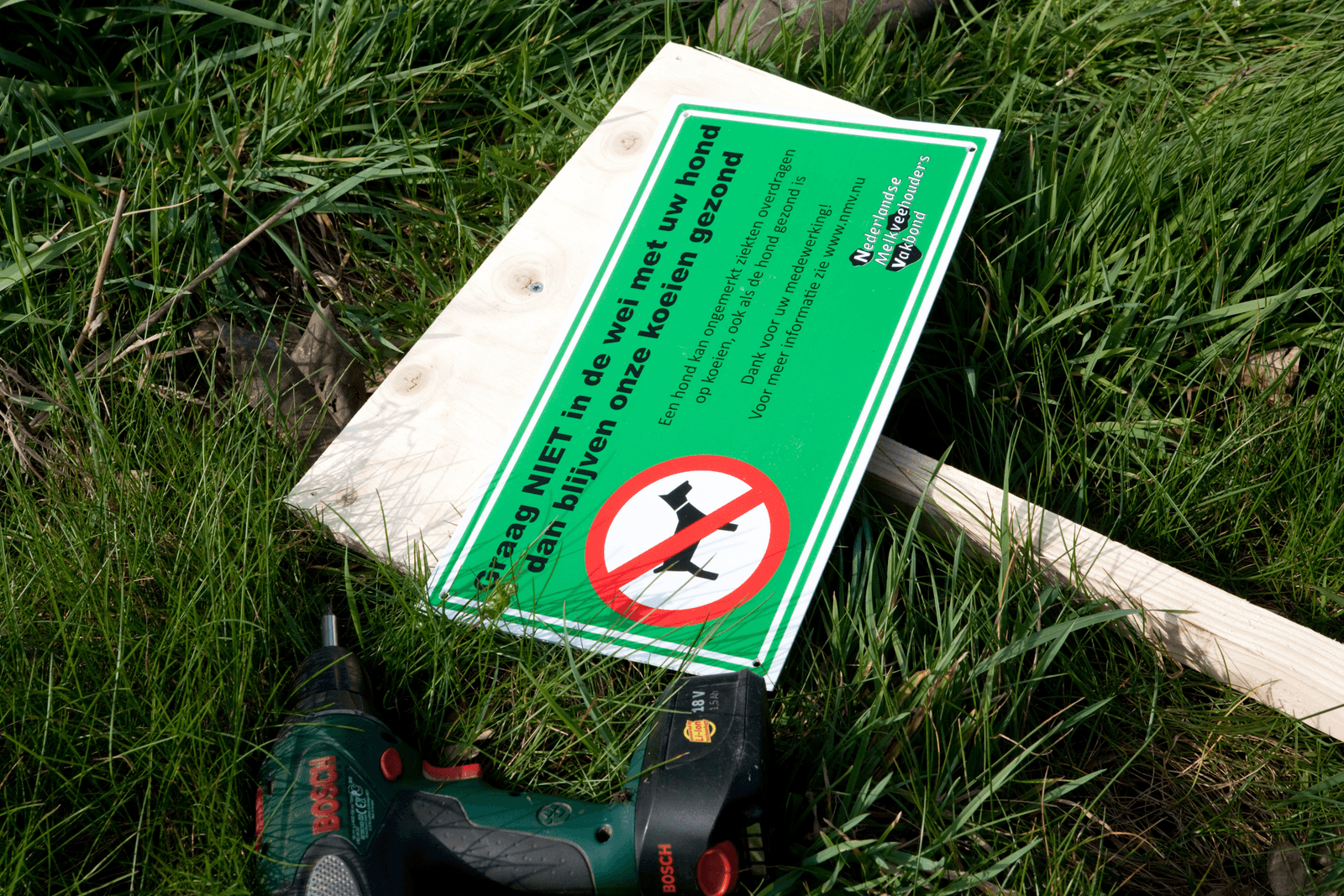 Neospora wordt vaak overgebracht via hondenpoep - Foto: Joris Telders