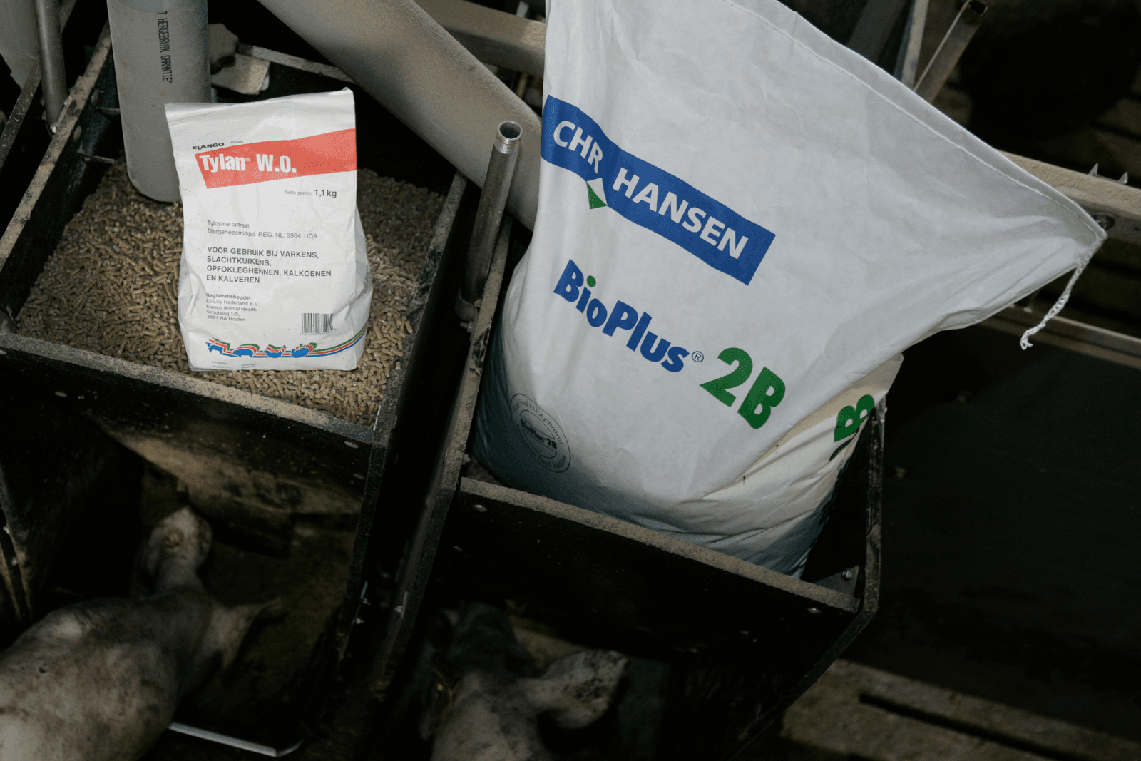 FAO pleit voor wereldwijde richtlijnen probiotica - Foto: Jan Willem Schouten
