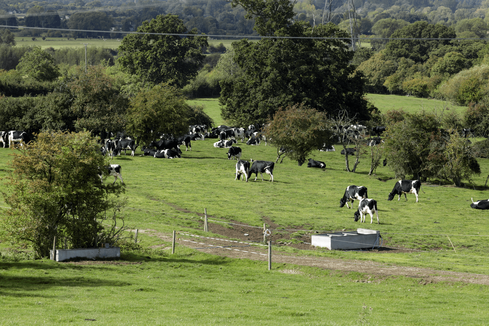 Geldkraan voor Brits platteland nu al dicht - Foto: Henk Riswick