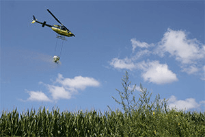 Een helikopter laat zaden over een maisveld vallen. Een conserveringsmethode die de bodemkwaliteit verbetert. Foto: RBI