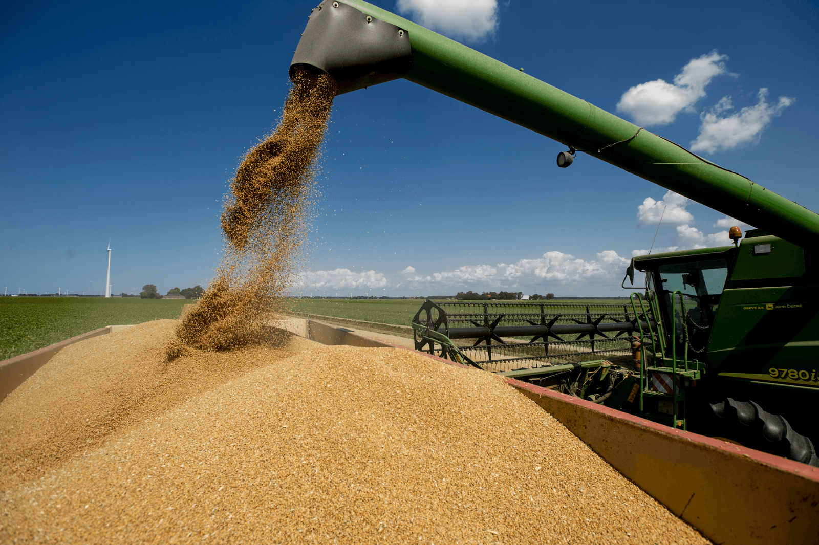 Opbrengst graan zeker 10% lager - Foto: ANP