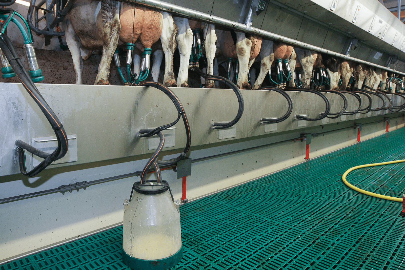 Cono houdt voorschot voor derde keer gelijk