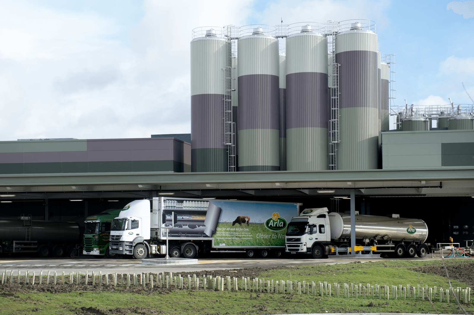 Arla ziet nog geen kans melkprijs te verhogen - Foto: Arla