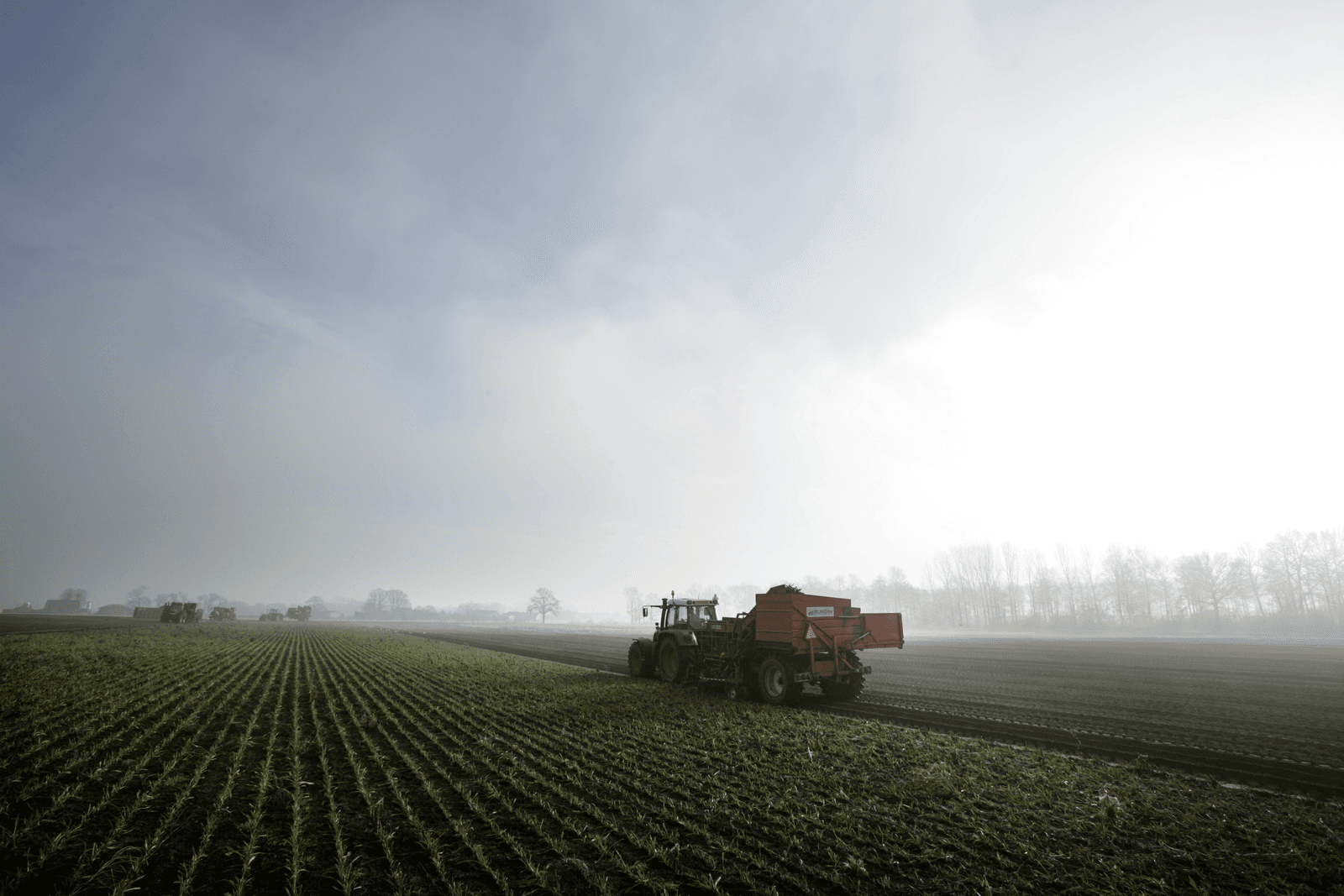 Rijko stevent af op miljoenenverlies na slecht weer - Foto: Koos Groenewold