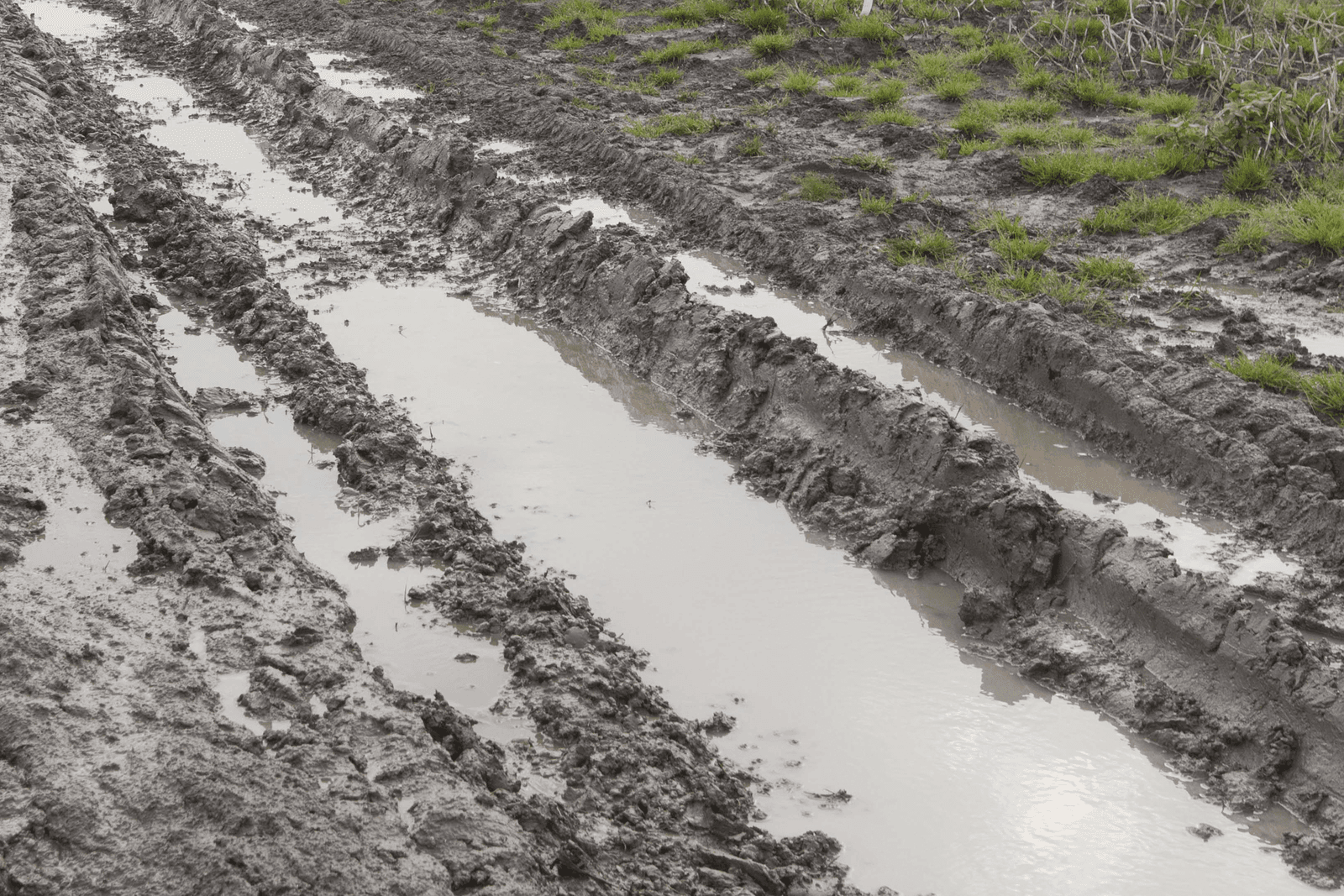 Verzekerde schade extreme buien zeker ¬ 500 miljoen - Foto: Koos Groenewold