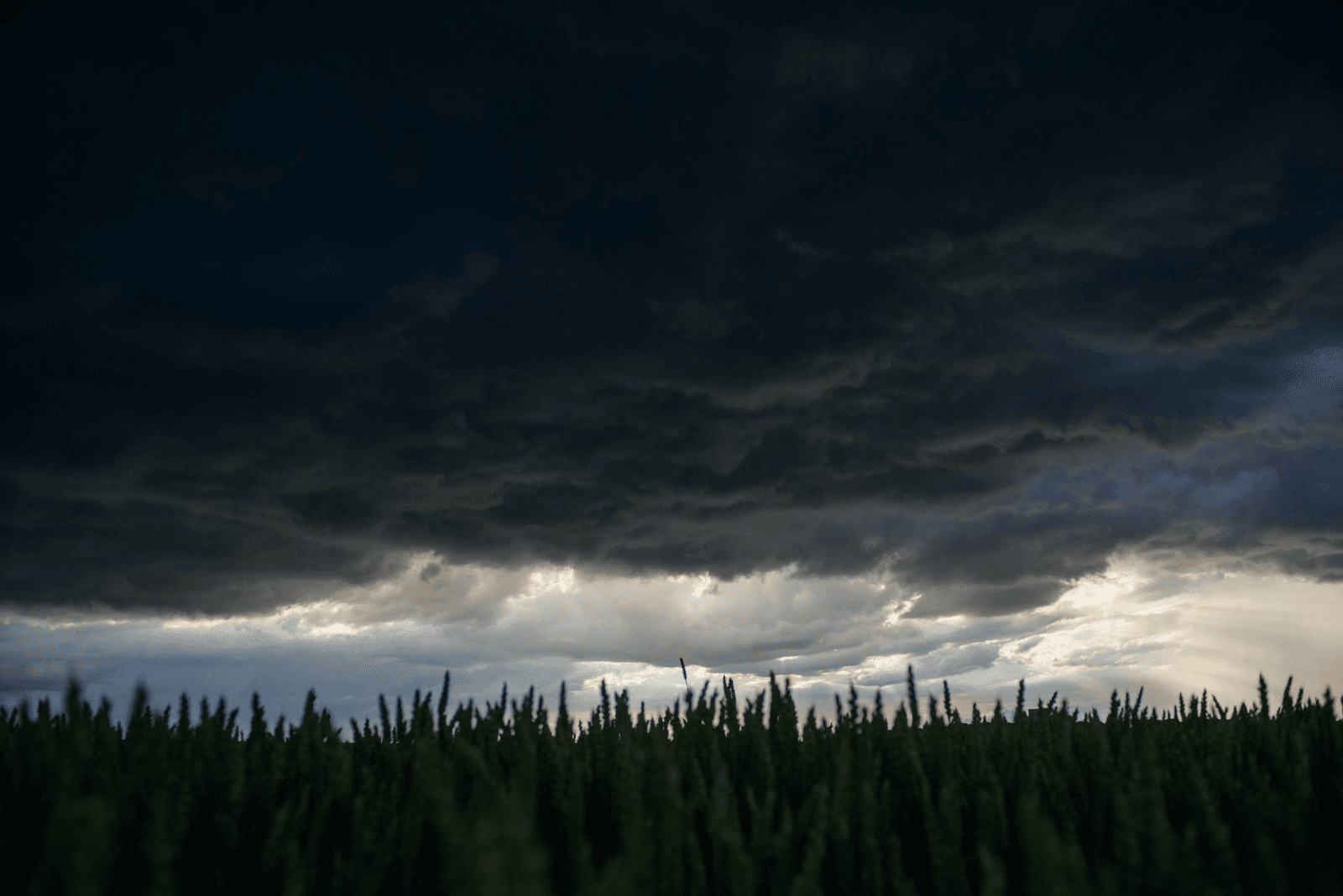 Ierse landbouw ziet de zon door de donderwolken - Foto: EPA