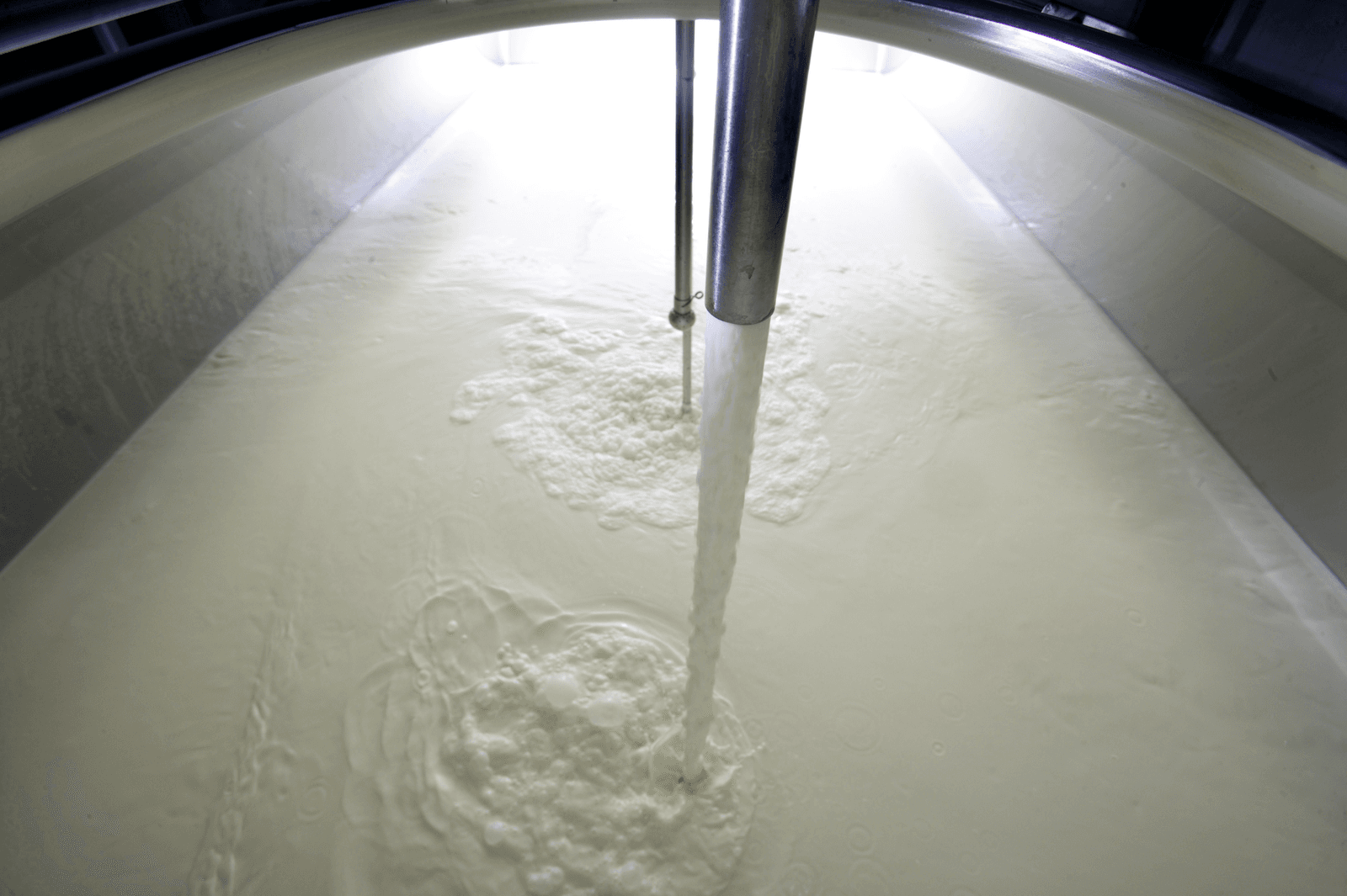 Duitse prijzen biologische melk dalen - Foto: Hans Prinsen