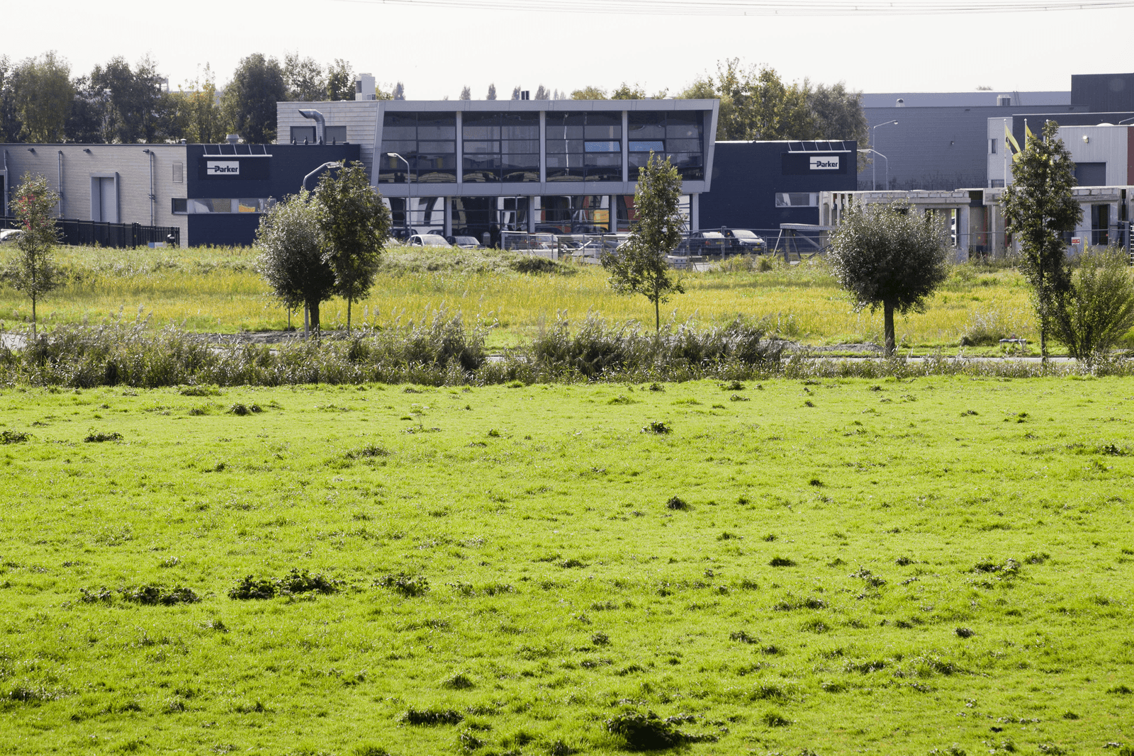 Een perceel dat bij de Gecombineerde Opgave is opgegeven, is niet automatisch landbouwgrond omdat er gras geklepeld wordt. - Foto: Roel Dijkstra Fotografie