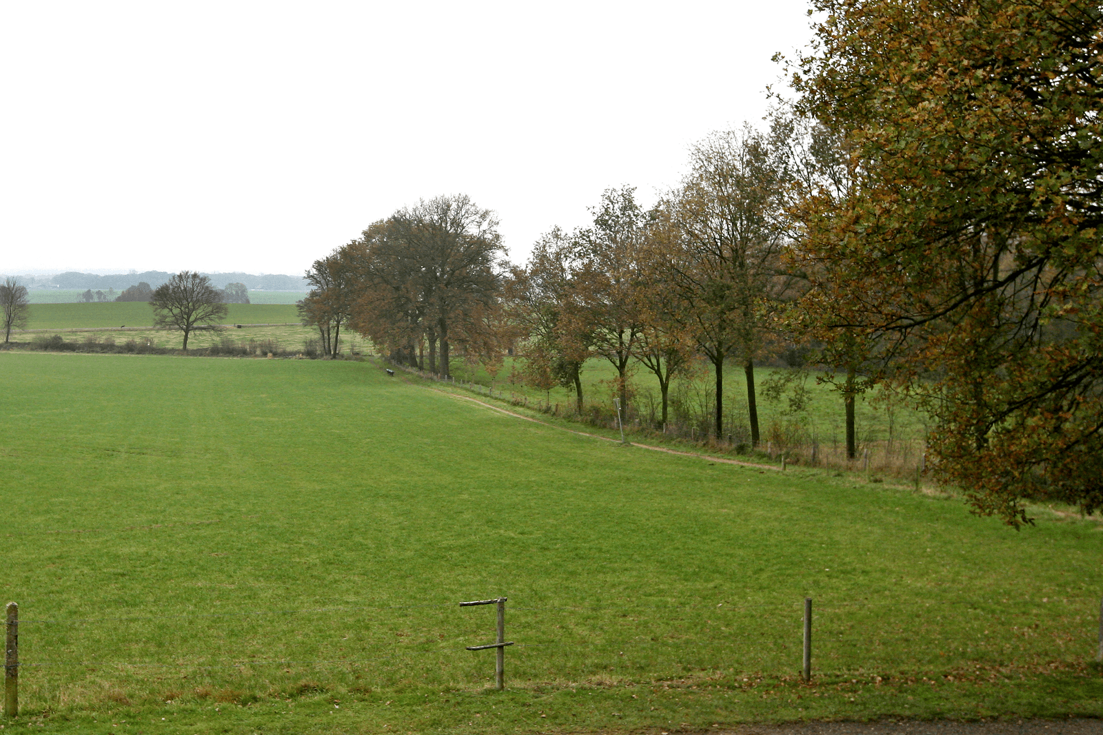 Het is volgens Martijn van Dam zorgelijk dat Europese lidstaten nog maar weinig gebruikmaken van de mogelijkheid om landschapselementen in te zetten als ecologisch aandachtsgebied. - Foto: Ronald Hissink