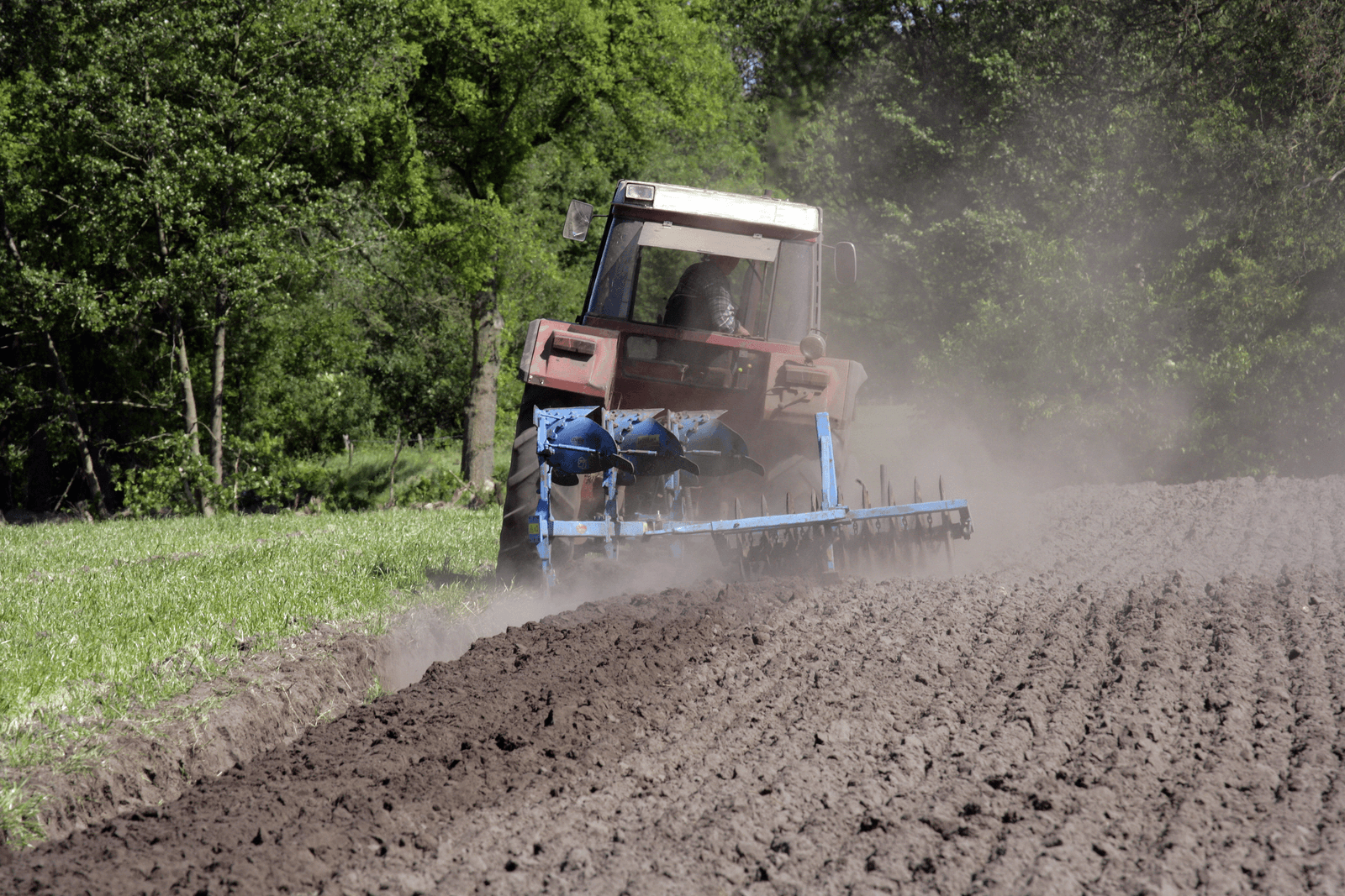 België ziet groei biologische landbouw afnemen - Foto: Henk Riswick