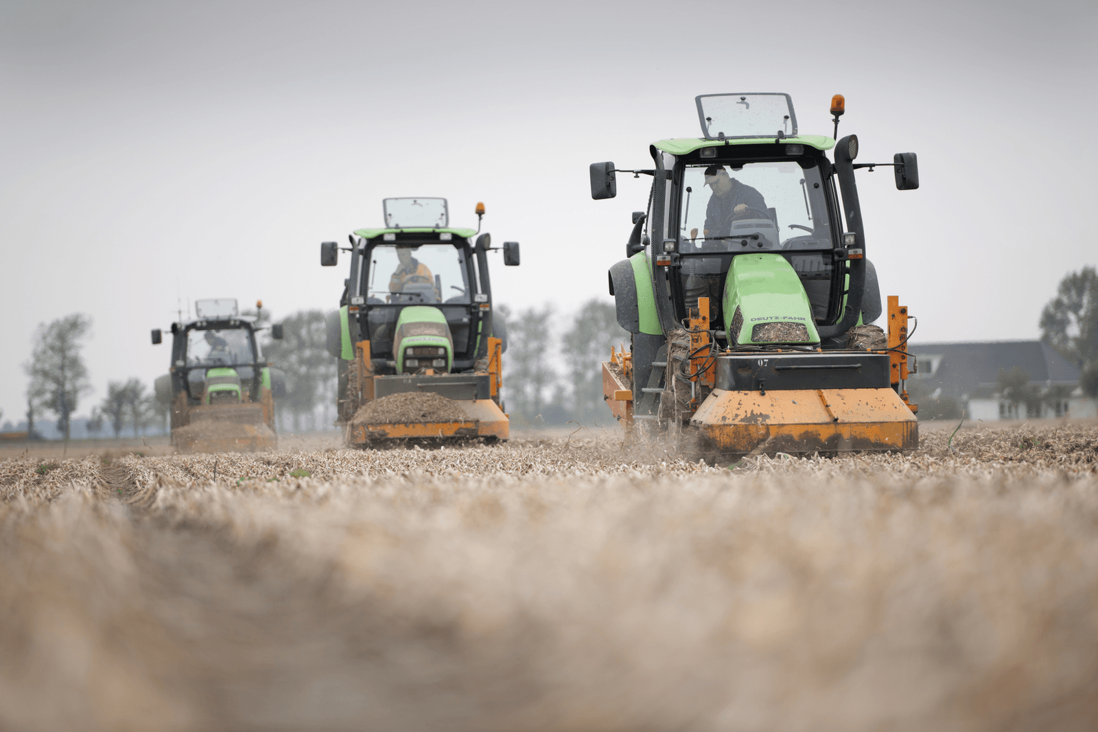 Recordprijzen voor goede pooluien van oogst 2015 - Foto: Mark Pasveer