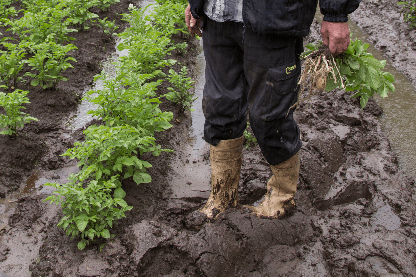 Waterschap druk met afhandeling claims - Foto: Jan Willem Schouten