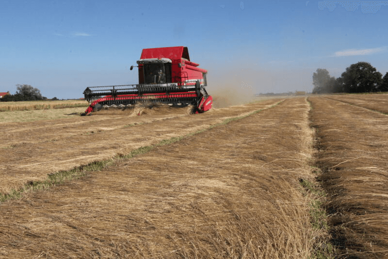 Foto's: Anton Dingemanse