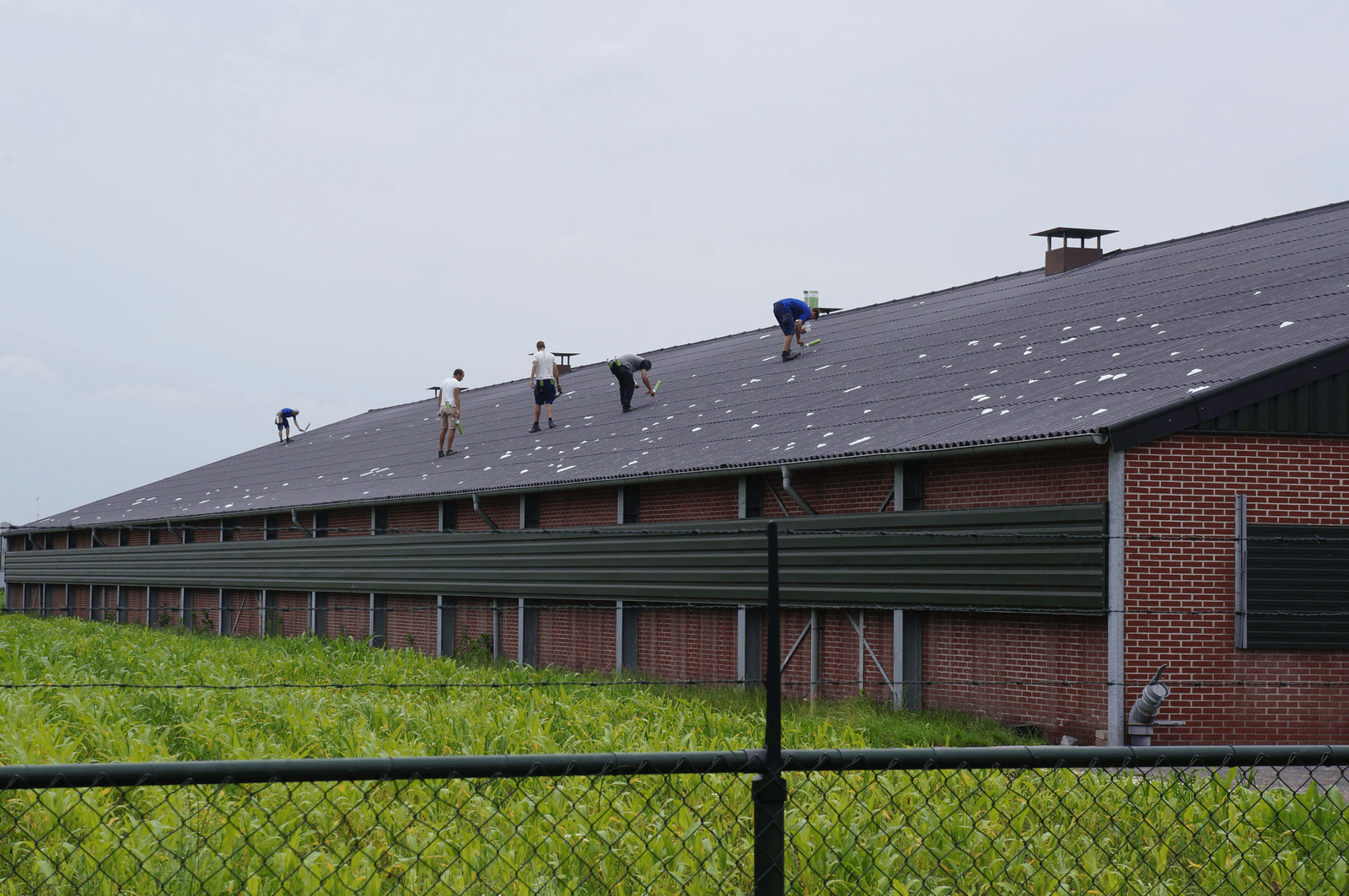 Verzekeraars: 'Check polis schadeverzekering' - Foto: Joost GFR Stallen