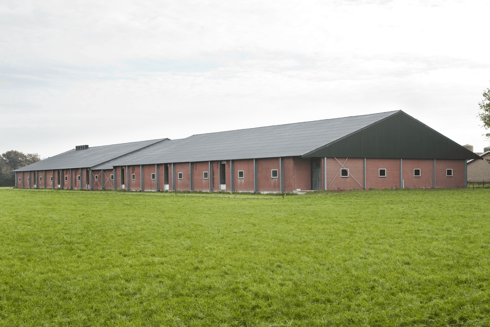 Regels genoeg om veehouderij aan banden te leggen - Foto: Bart Nijs