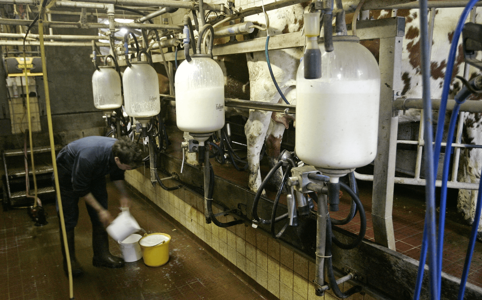 Geen stap verder zonder voortschrijdend inzicht - Foto: ANP