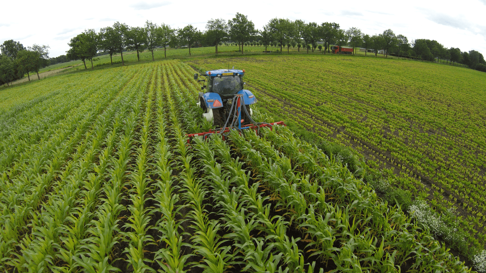 Tractorfan 26: mais schoffelen - Foto: Tractorfan