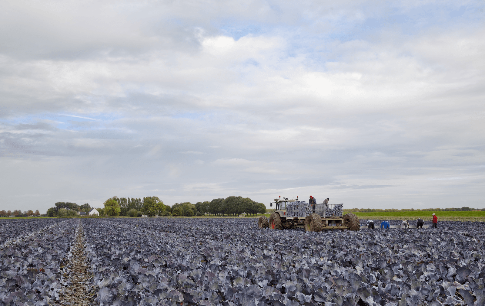 Foto: Jan Willem Schouten