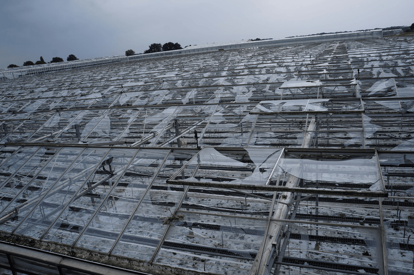 Interpolis: ander draaiboek grote schades - Foto: Joost GFR Stallen