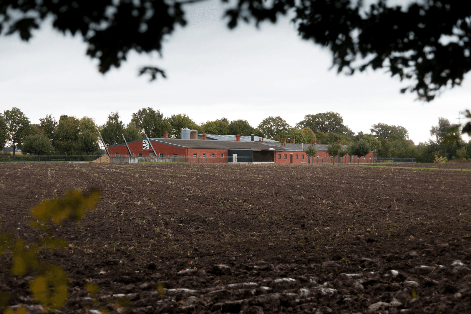Foto: Joris Telders