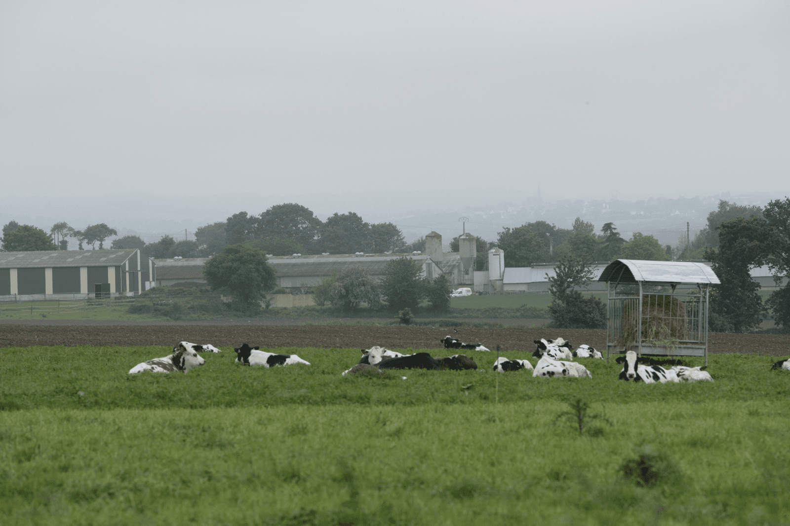 Een Franse melkveehouder is gemiddeld ¬ 159 per hectare aan pacht kwijt. Foto: Henk Riswick