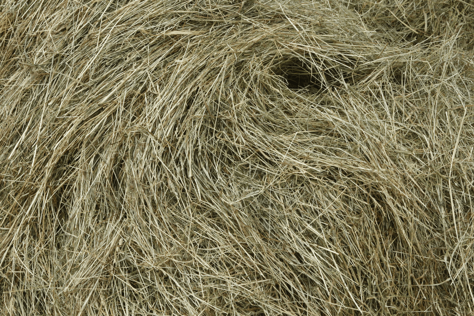 Hooibrand vaakst in balen van 400 tot 500 kilo - Foto: Henk Riswick
