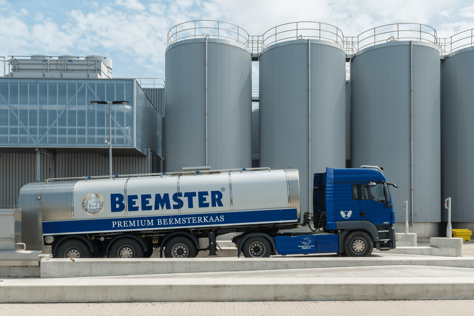 Cono Kaasmakers verdubbelt weidepremie -  Foto: ANP