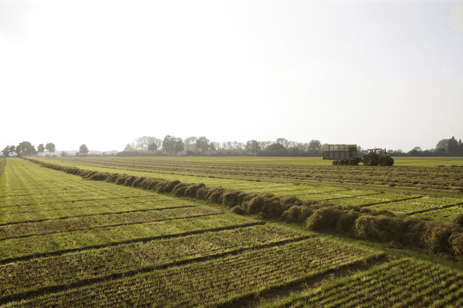Foto: Peter Roek