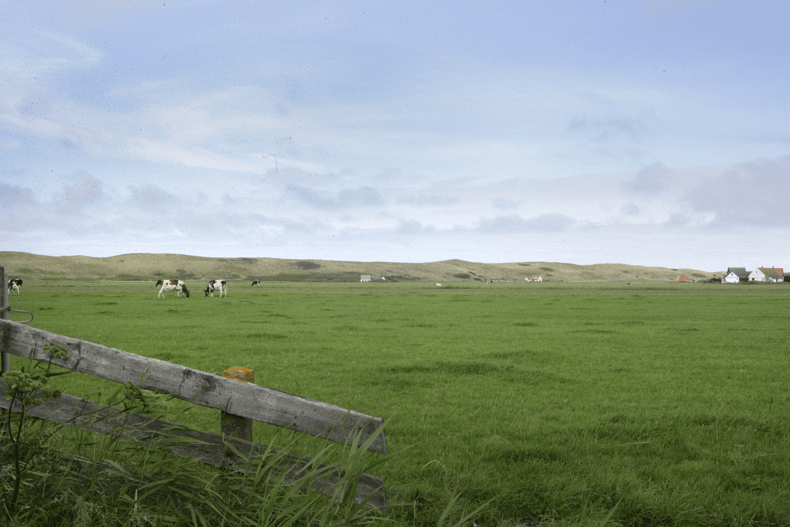 Doen de vlakke, groene weiden pijn? - Henk Riswick