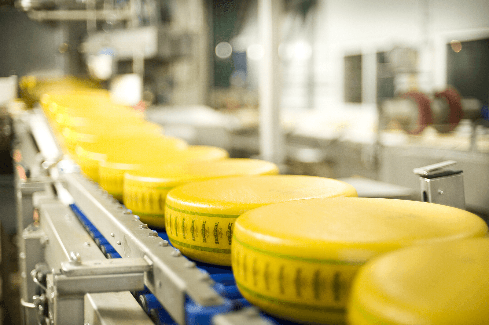 Bel Leerdammer betaalt de leveranciers ¬ 25,25 per 100 kilo.