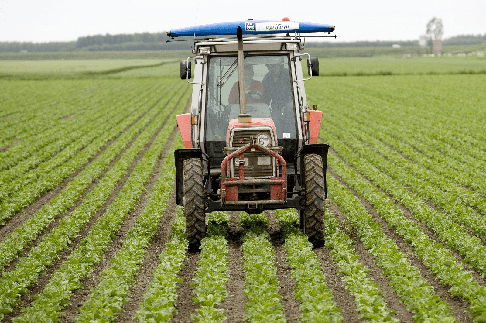 Meten van de biomassa in aardappelen, met een Yara N-sensor van Agrifirm op de trekker. - Foto: Jan Willem van Vliet
