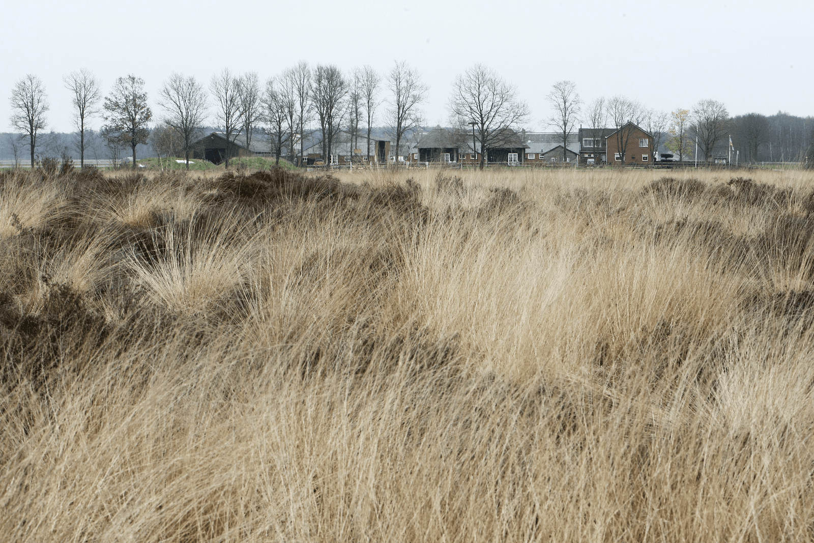 RvS buigt zich niet voor einde 2016 over PAS-zaken - Foto: Ronald Hissink