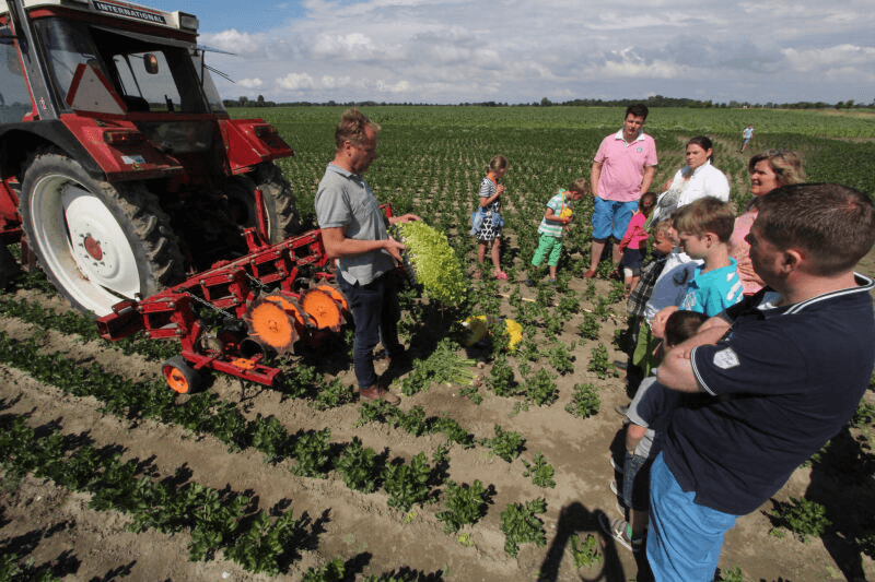 Foto's: Anton Dingemanse