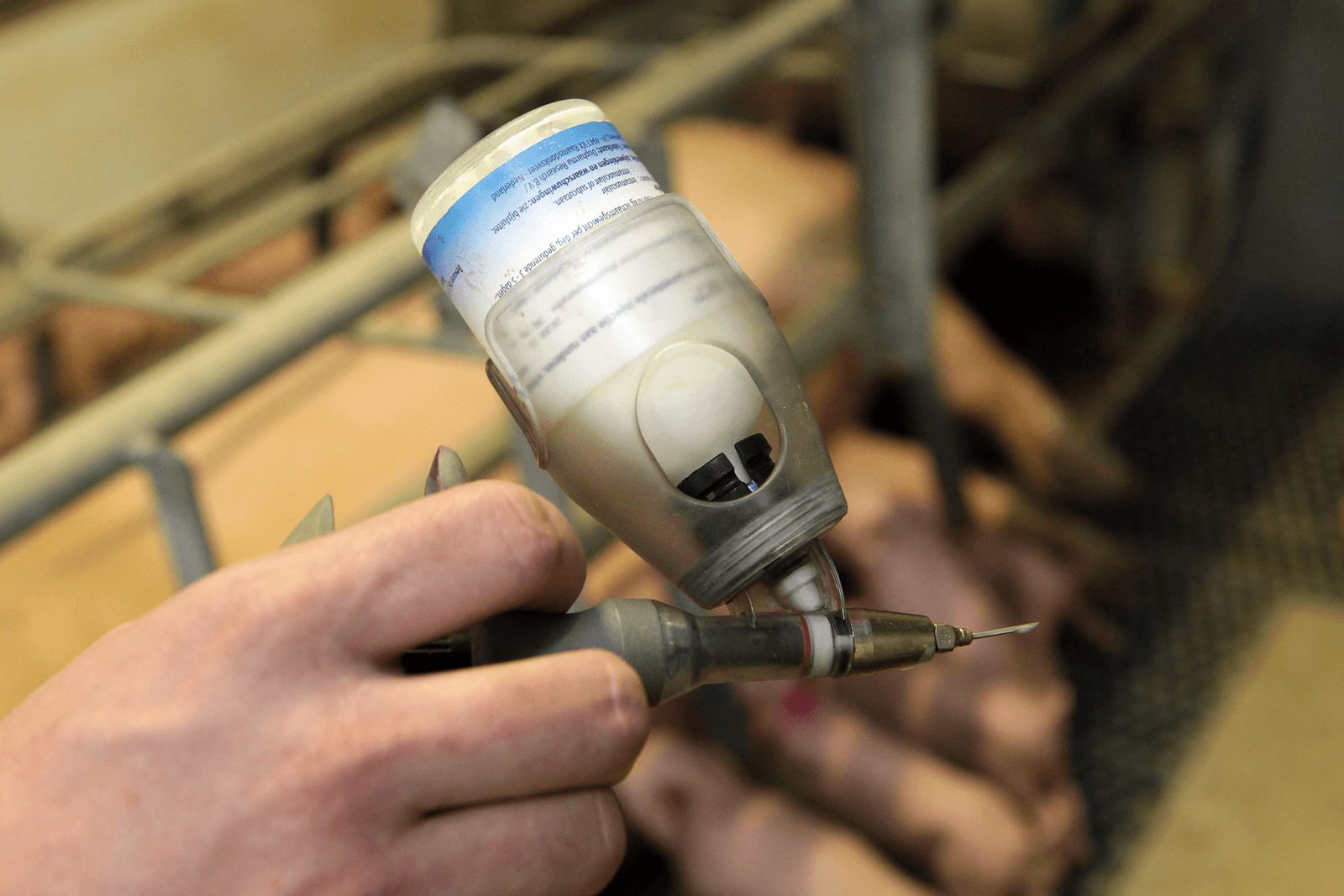 Deense politiek motiveert varkenshouders tot selectieve antibiotica-inzet - Foto: Henk Riswick