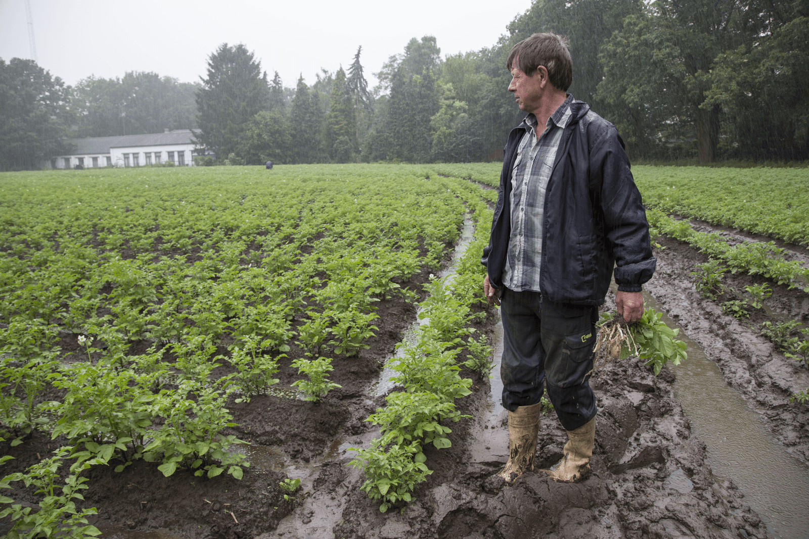 Foto: Jan Willem Schouten